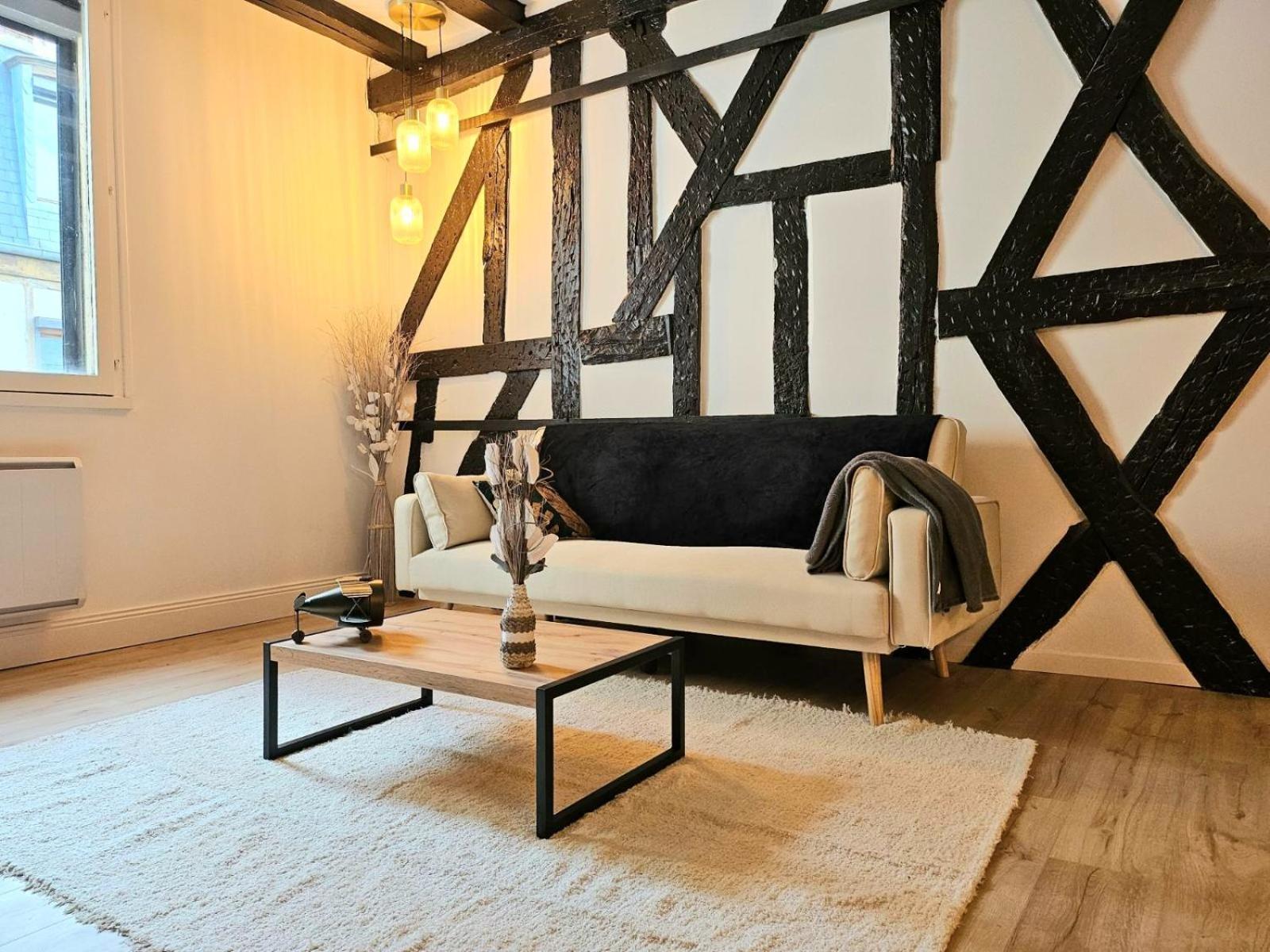 La Dame Blanche - Appartement Hypercentre Historique Бурж Екстериор снимка